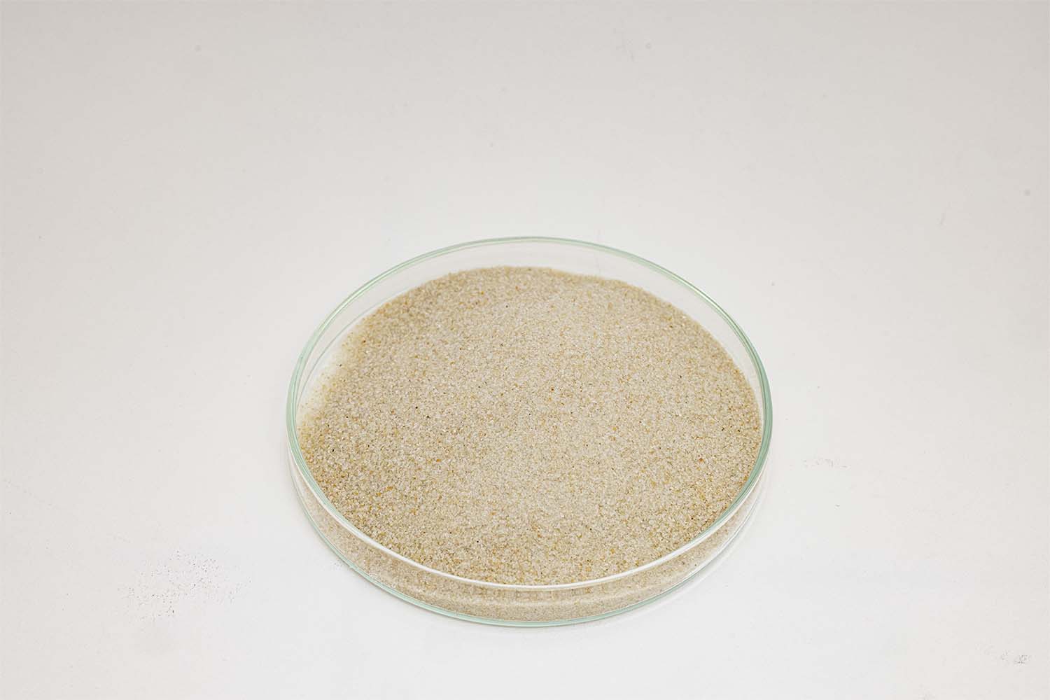 Sable NF 66-061